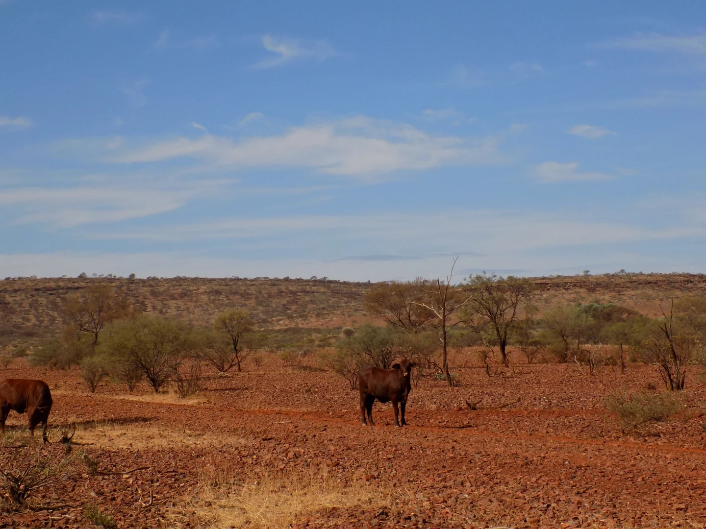 Additional image 15 of West Lyons River WA 6705