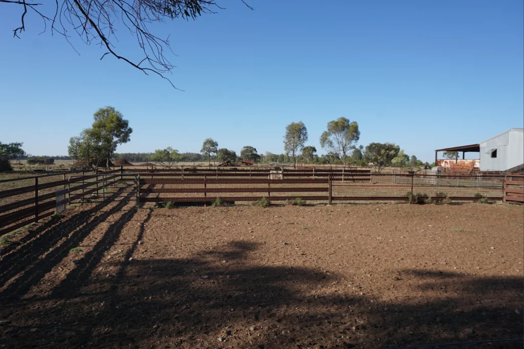 Additional image 9 of 603 Charcoal Tank Road, West Wyalong NSW 2671