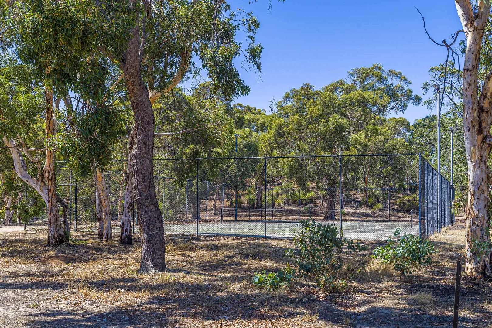 Additional image 24 of 167 Davis Road, Lower Chittering WA 6084