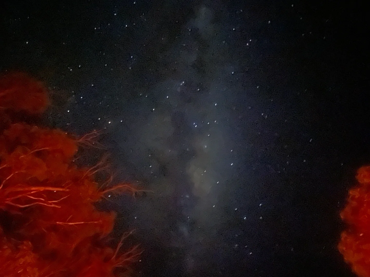 Additional image 22 of 274 Willow Glen Road, Lower Boro NSW 2580