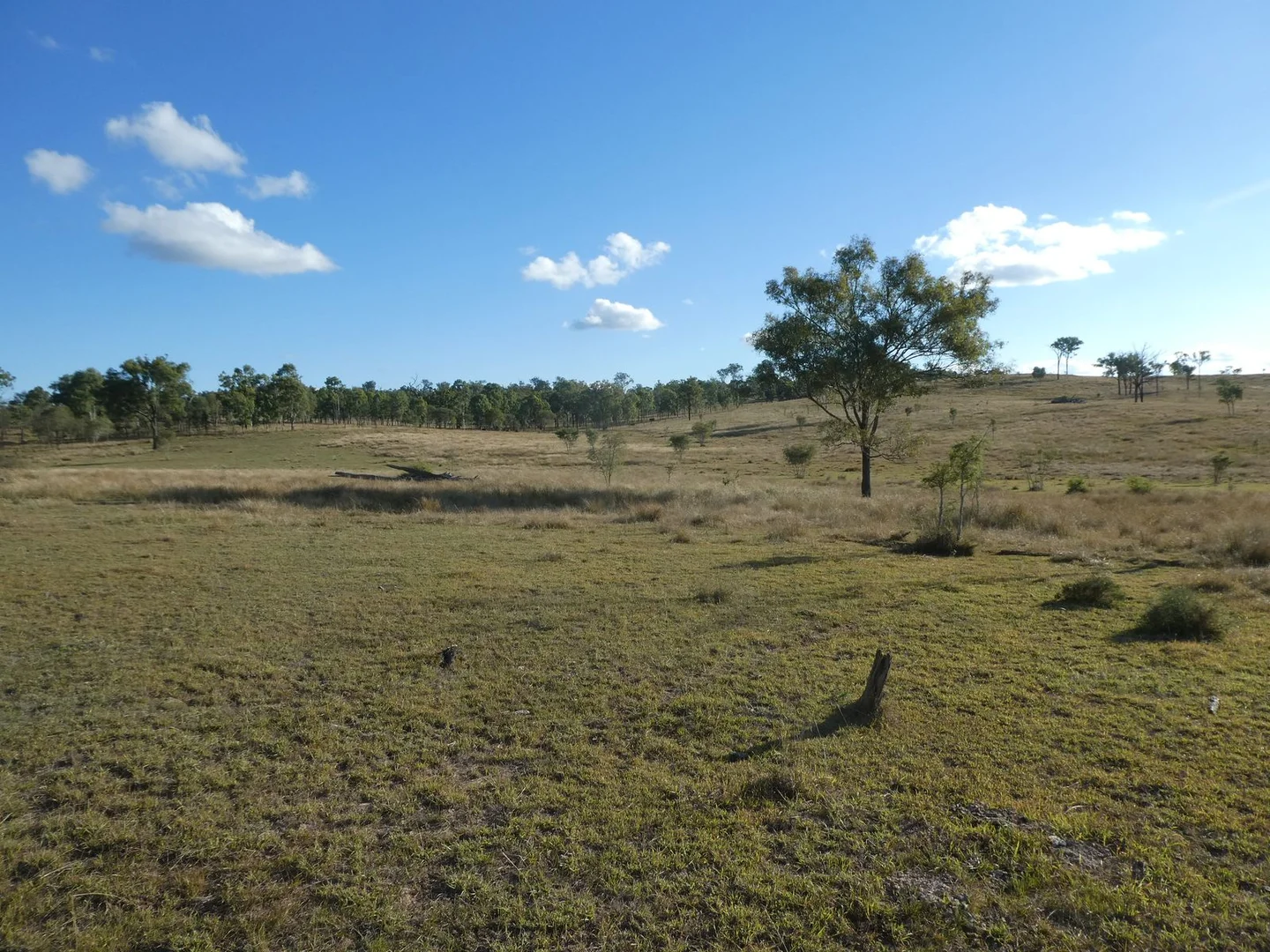 Additional image 10 of Lot 24 Gayndah Mount Perry Road, Mount Steadman QLD 4625