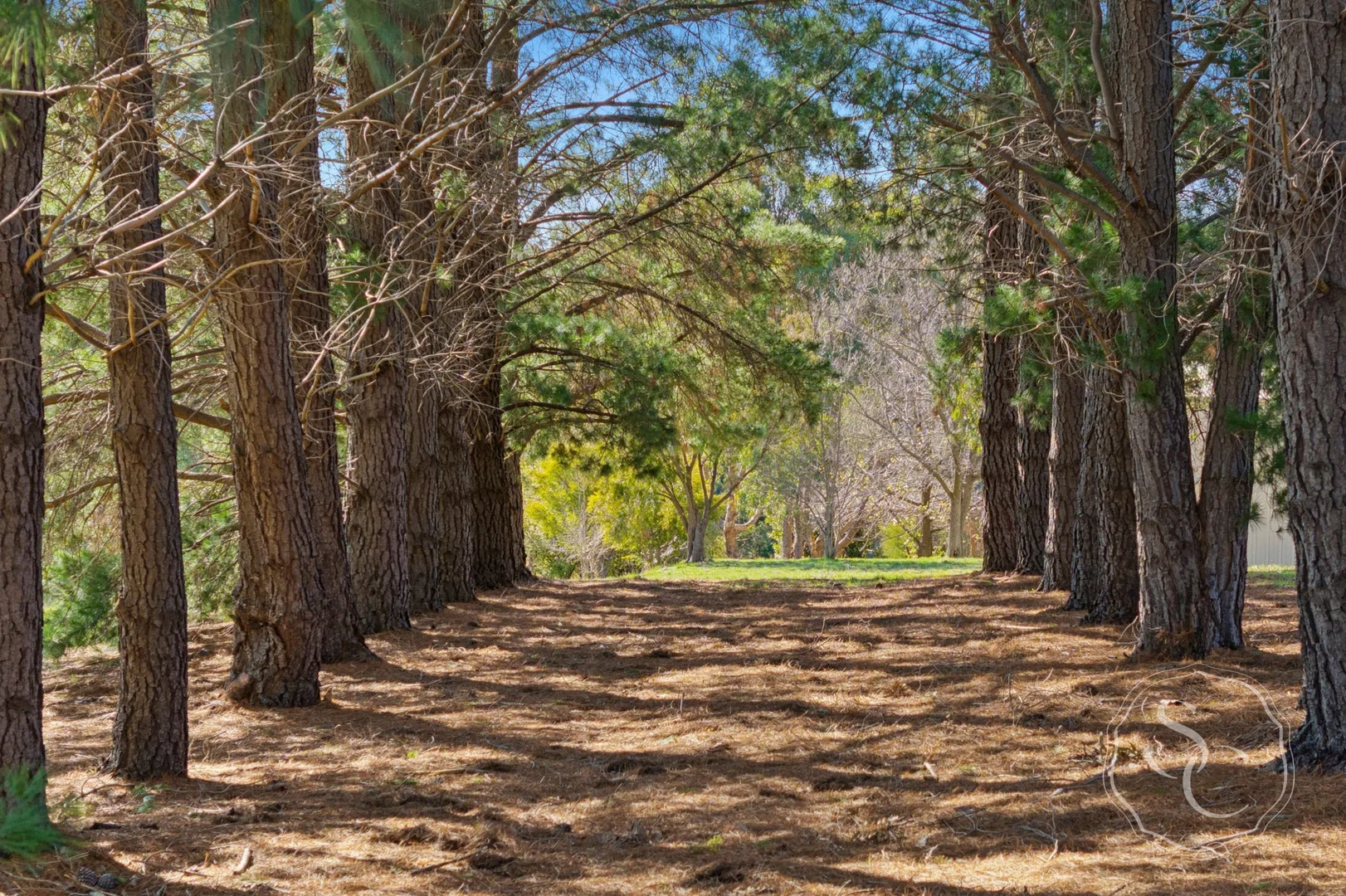 Additional image 23 of 120 Ayreshire Drive, Shepherds Flat VIC 3461