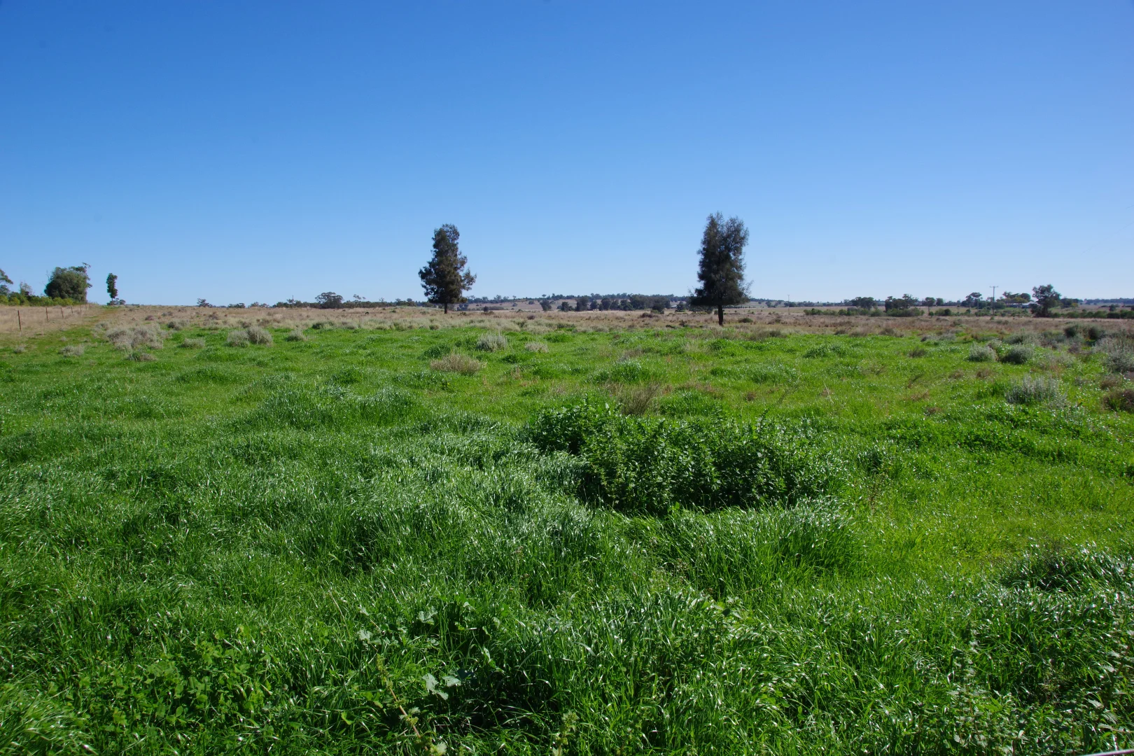 Additional image 32 of 635 Mayfield Road, Narrabri NSW 2390