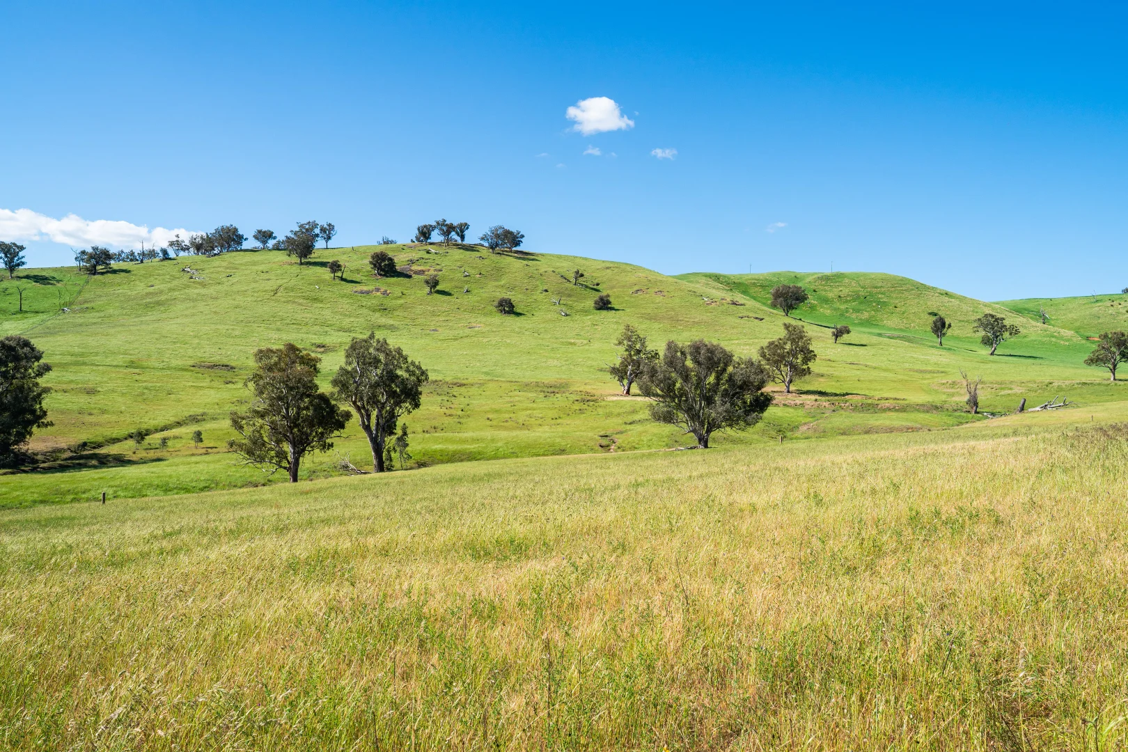 Additional image 21 of . Hore Road, Bowna NSW 2644