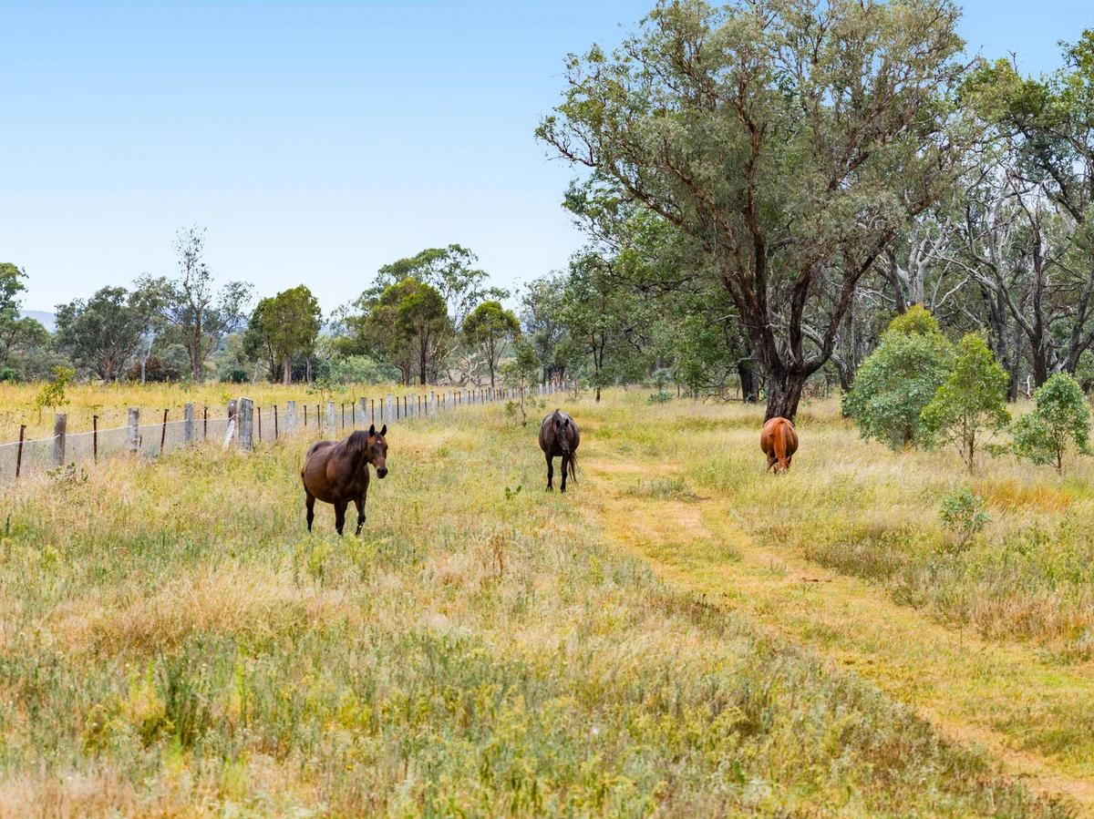 Additional image 21 of 2347 Gore Highway, Southbrook QLD 4363