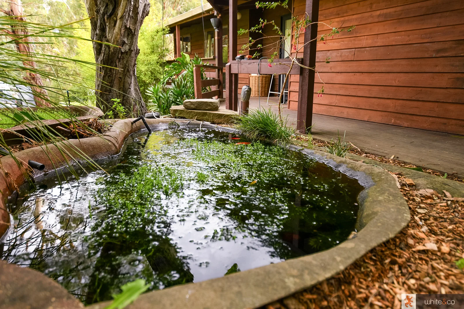 Additional image 13 of 34 Eleventh Avenue, Eden Park VIC 3757