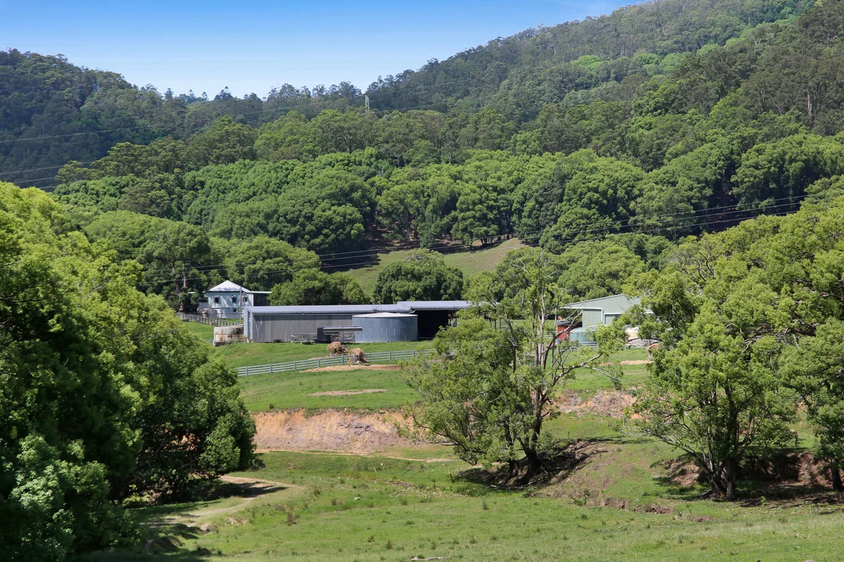 Additional image 20 of 1039 Currumbin Creek Road, Currumbin Valley QLD 4223