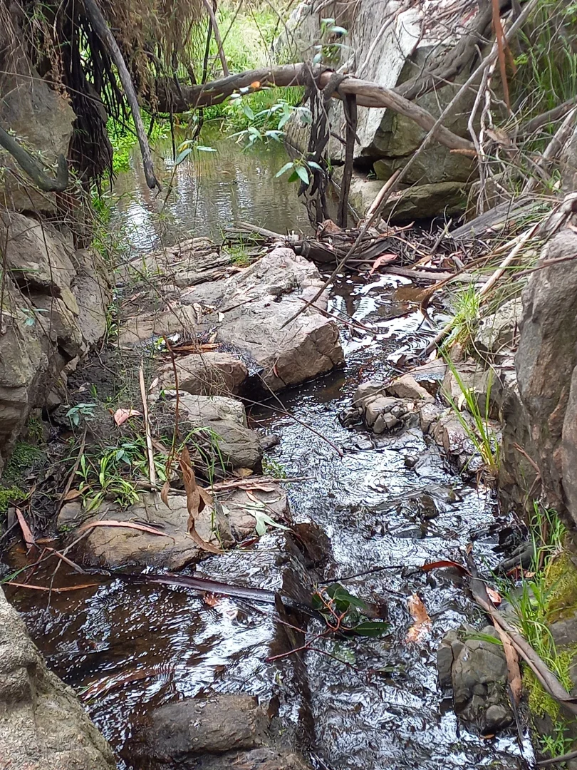 Additional image 13 of Lot 10/714 Yenschs Road, Lankeys Creek NSW 2644