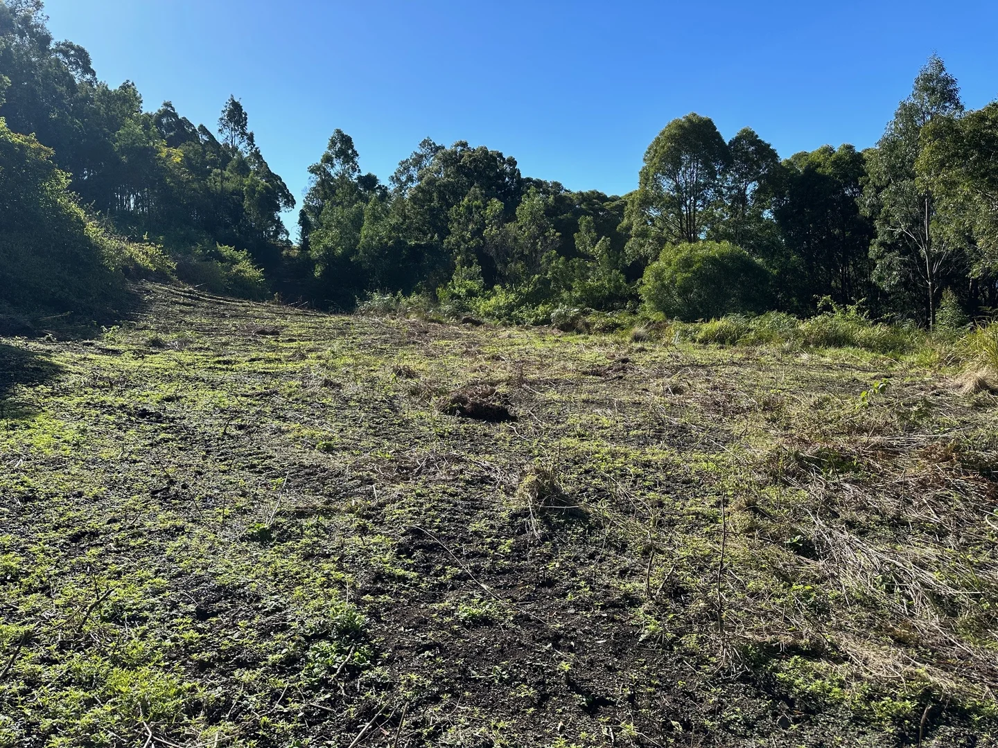 Additional image 19 of 129 Quartpot Creek Road, Dungog NSW 2420