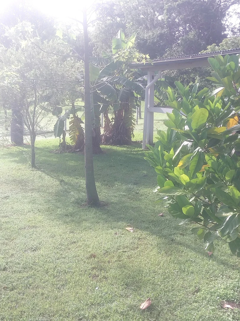 Additional image 25 of 25 English Street, Gin Gin QLD 4671