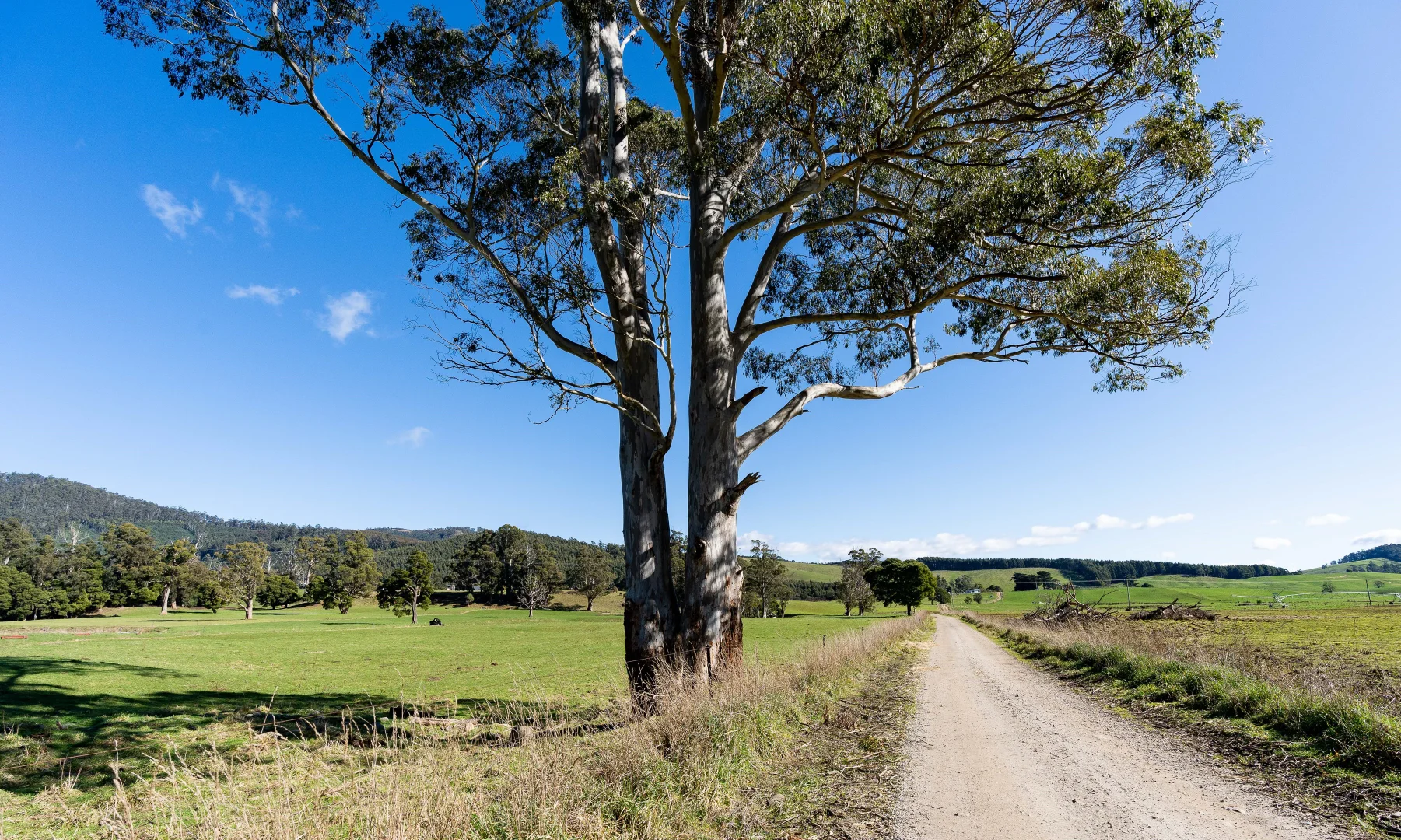 Additional image 36 of Alberton TAS 7263