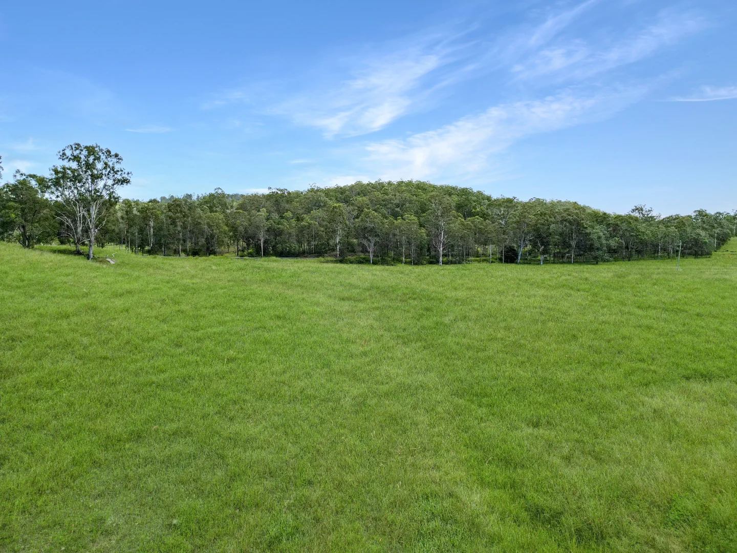 Additional image 15 of 113 Bruxner Highway, Mummulgum NSW 2469