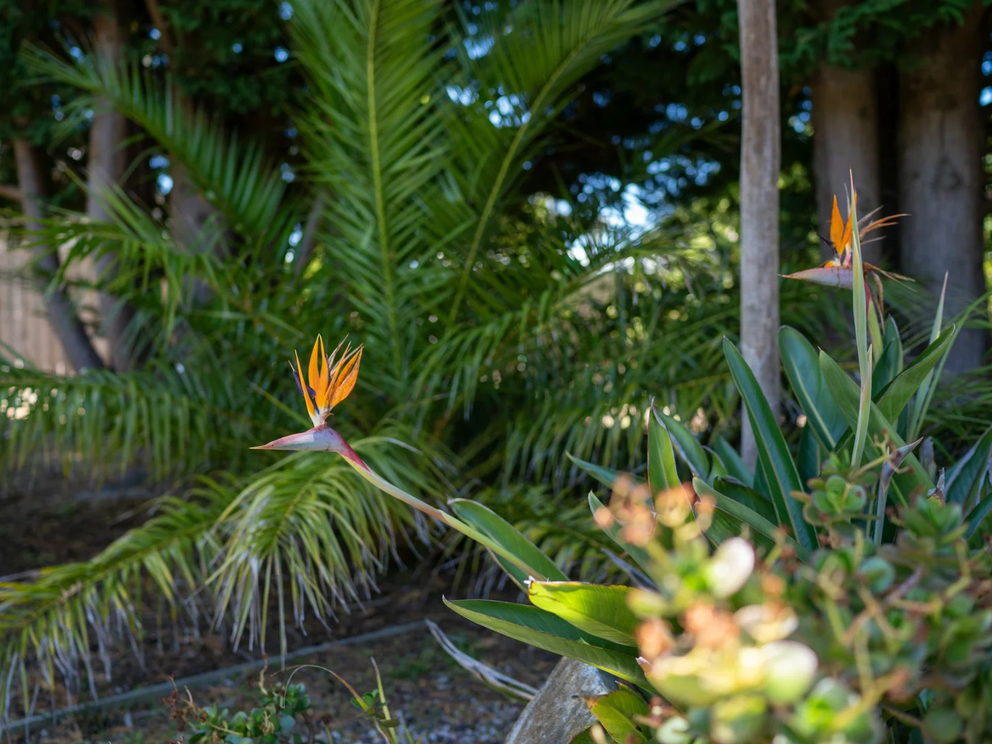 Additional image 23 of 66 St Helens Point Rd, Stieglitz TAS 7216