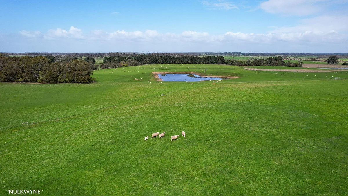 Additional image 5 of 3960 Dartmoor-Hamilton Road, Grassdale VIC 3302