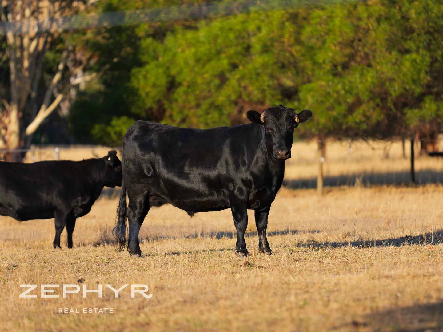 Additional image 55 of 1565 Donnybrook-Boyup Brook Road, Lowden WA 6240