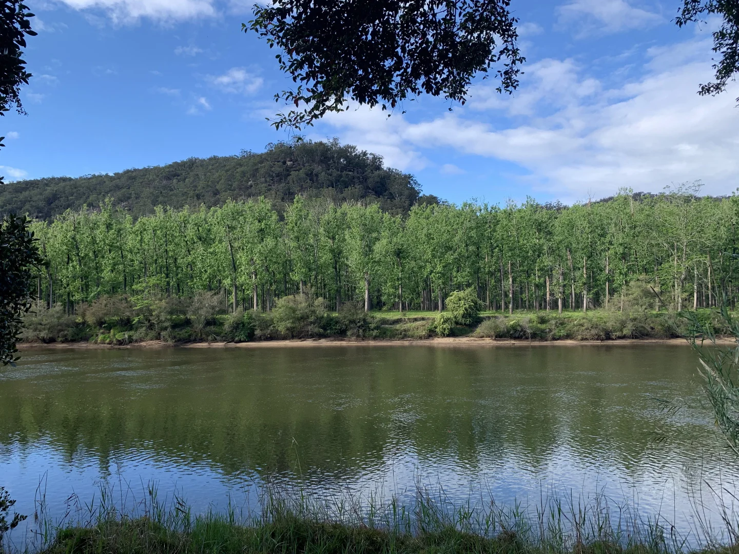 Additional image 12 of 539 Settlers Rd, Lower Macdonald NSW 2775