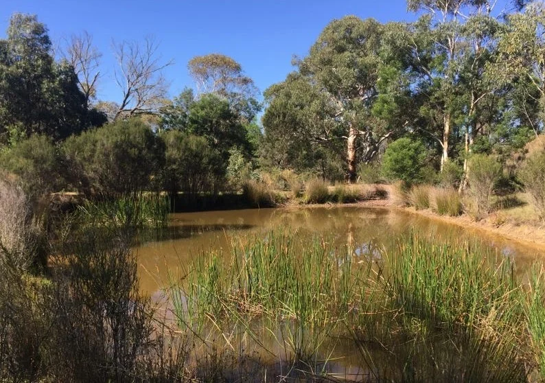 Additional image 17 of 243 Jacquet Road, Braidwood NSW 2622