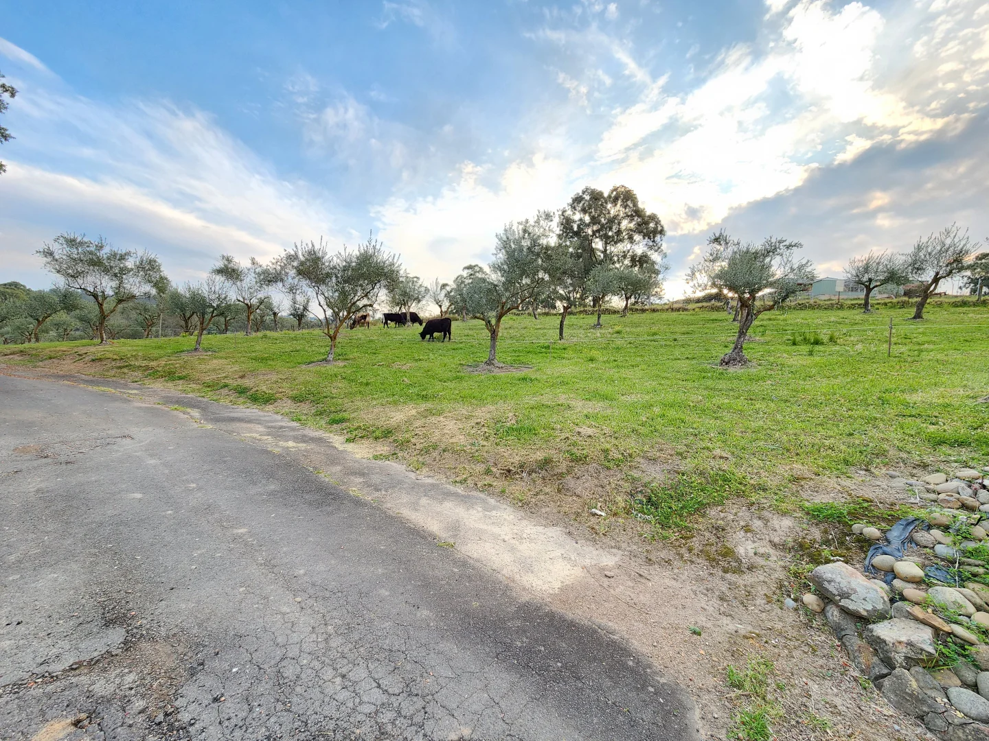 Additional image 38 of 100 Eltons Road, Silverdale NSW 2752