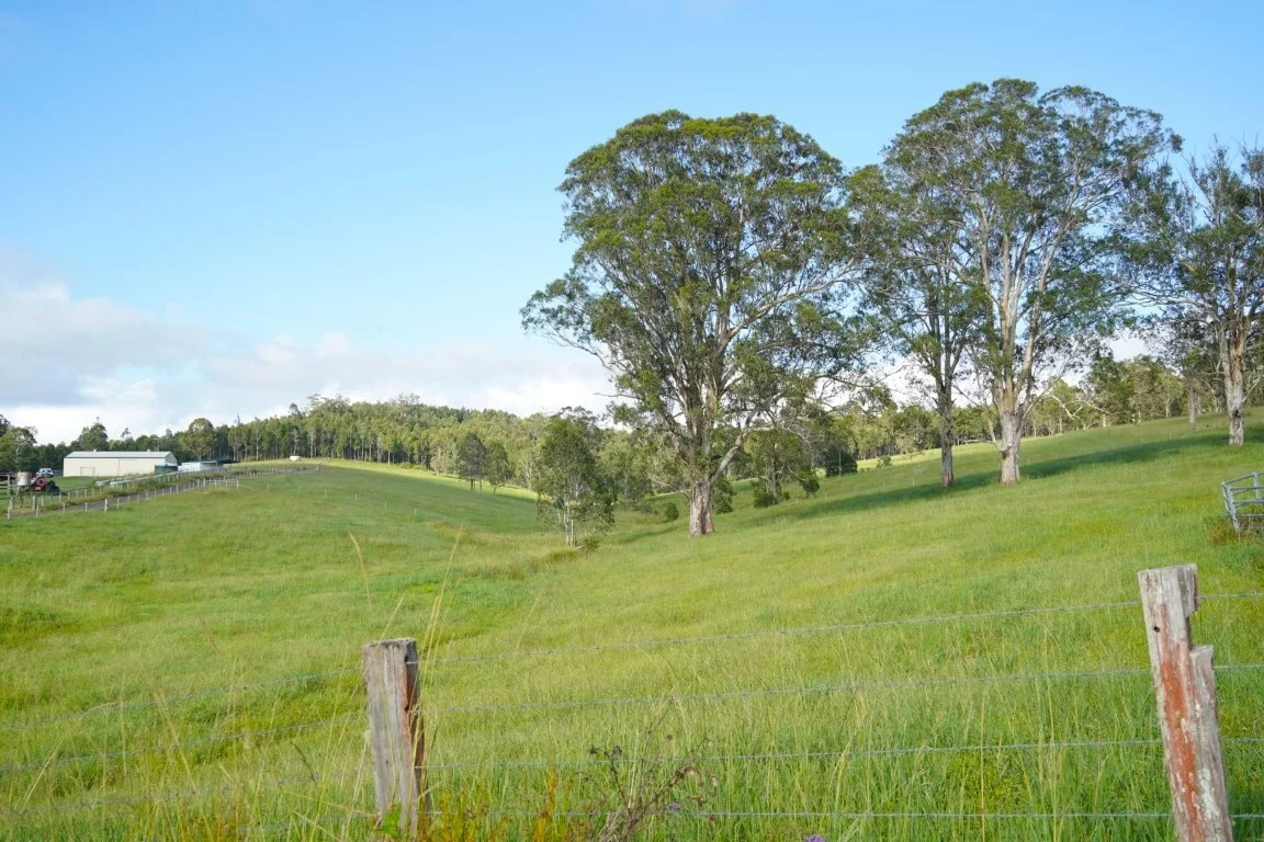 Additional image 16 of 1023 Iron Pot Creek Rd, Kyogle NSW 2474