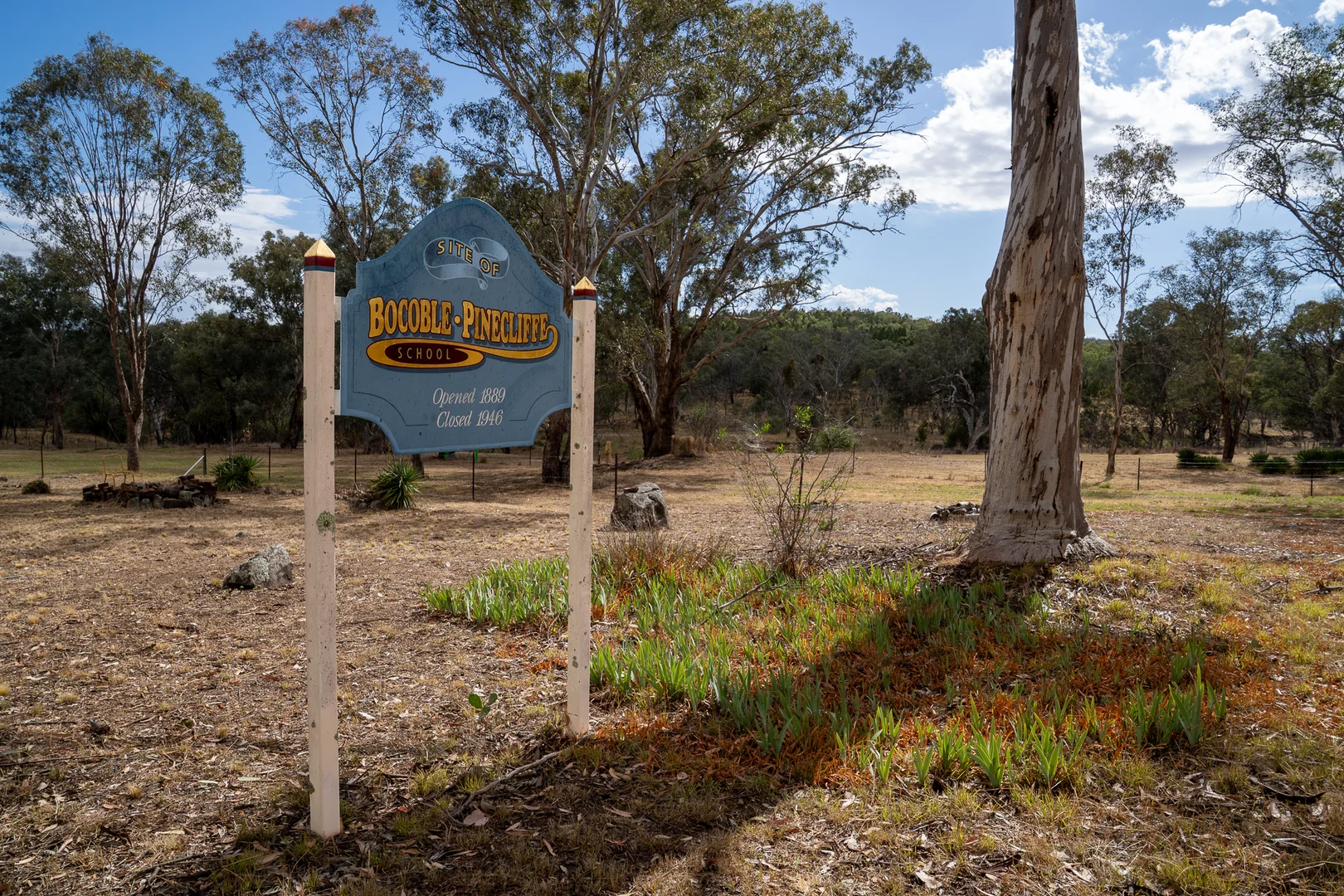 Additional image 15 of 328 Pinecliffe Road, Molong NSW 2866