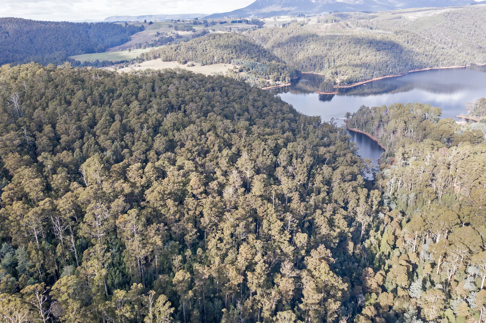 Additional image 5 of Wilmot TAS 7310