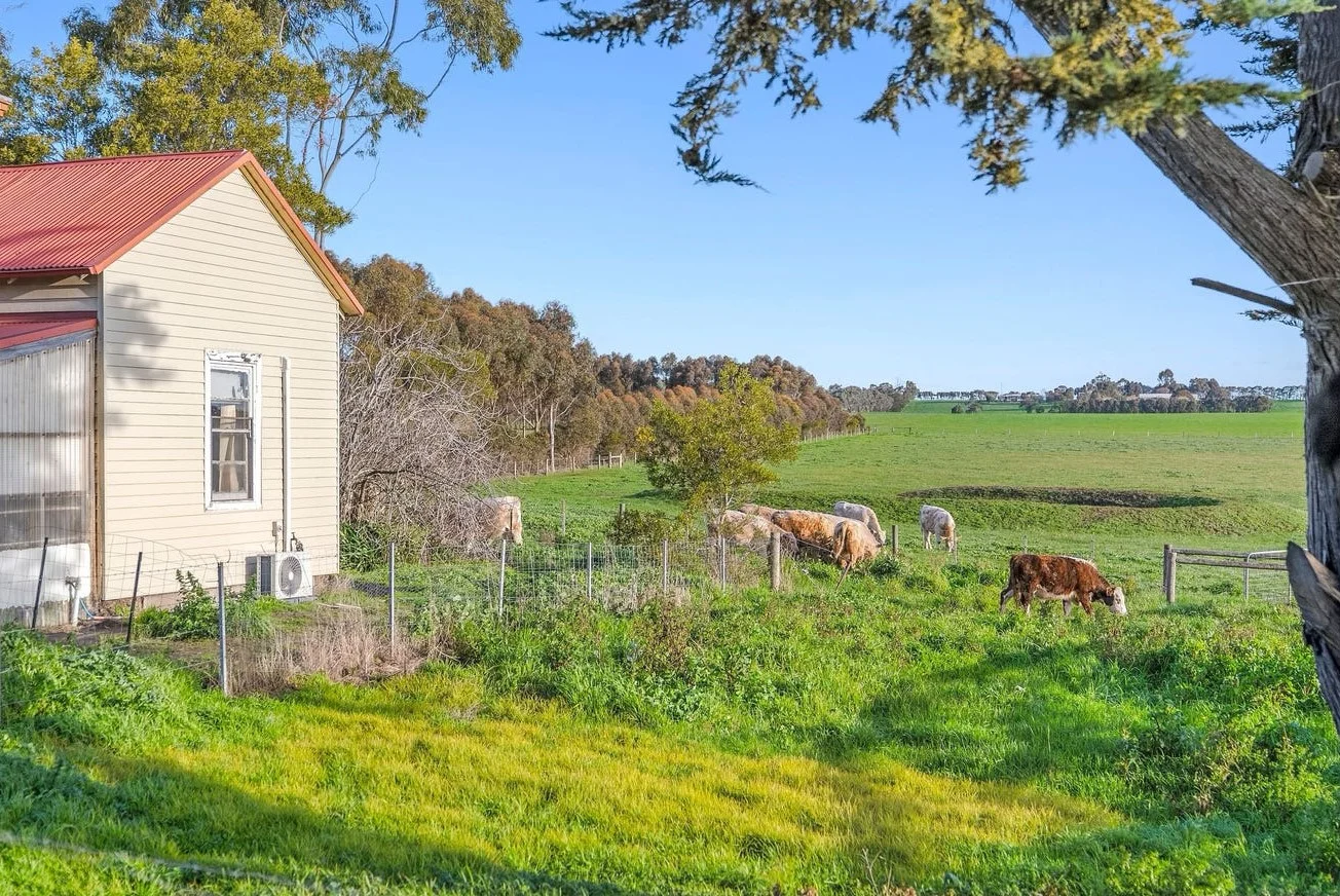 Additional image 26 of 5985 Princes Highway, Irrewarra VIC 3249