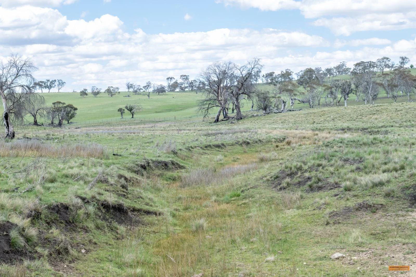 Additional image 16 of Lot 6 Avonside Road, Avonside NSW 2628