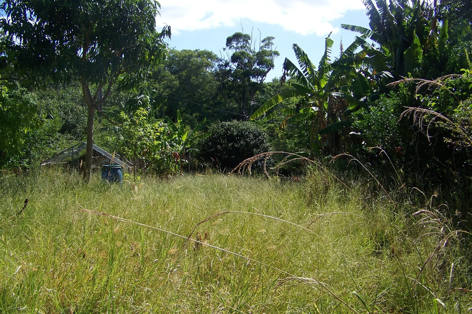 Additional image 10 of 29 Pine Avenue, Lamb Island QLD 4184