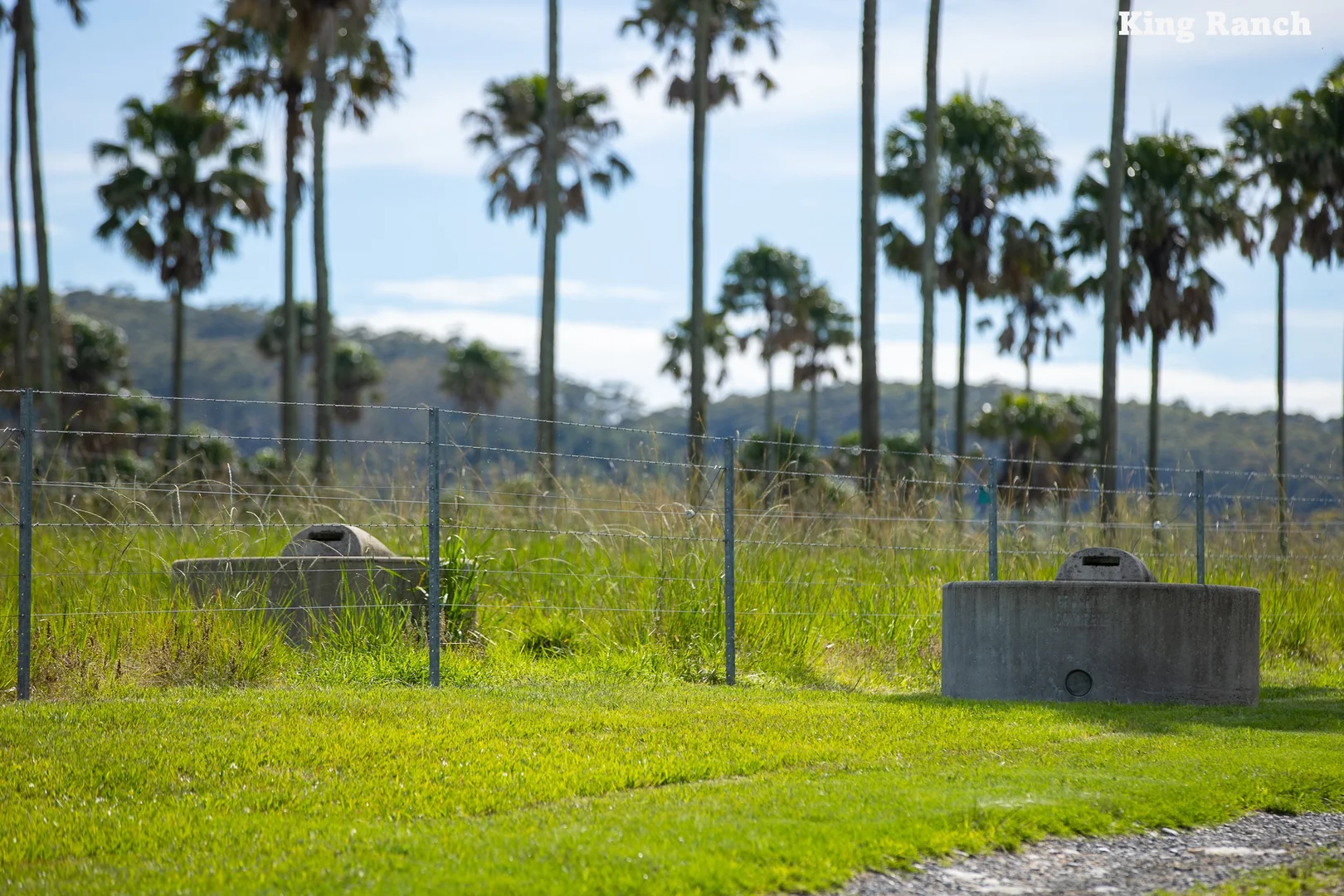 Additional image 15 of "King Ranch" 481 Upper Bobo Road, Coffs Harbour NSW 2450