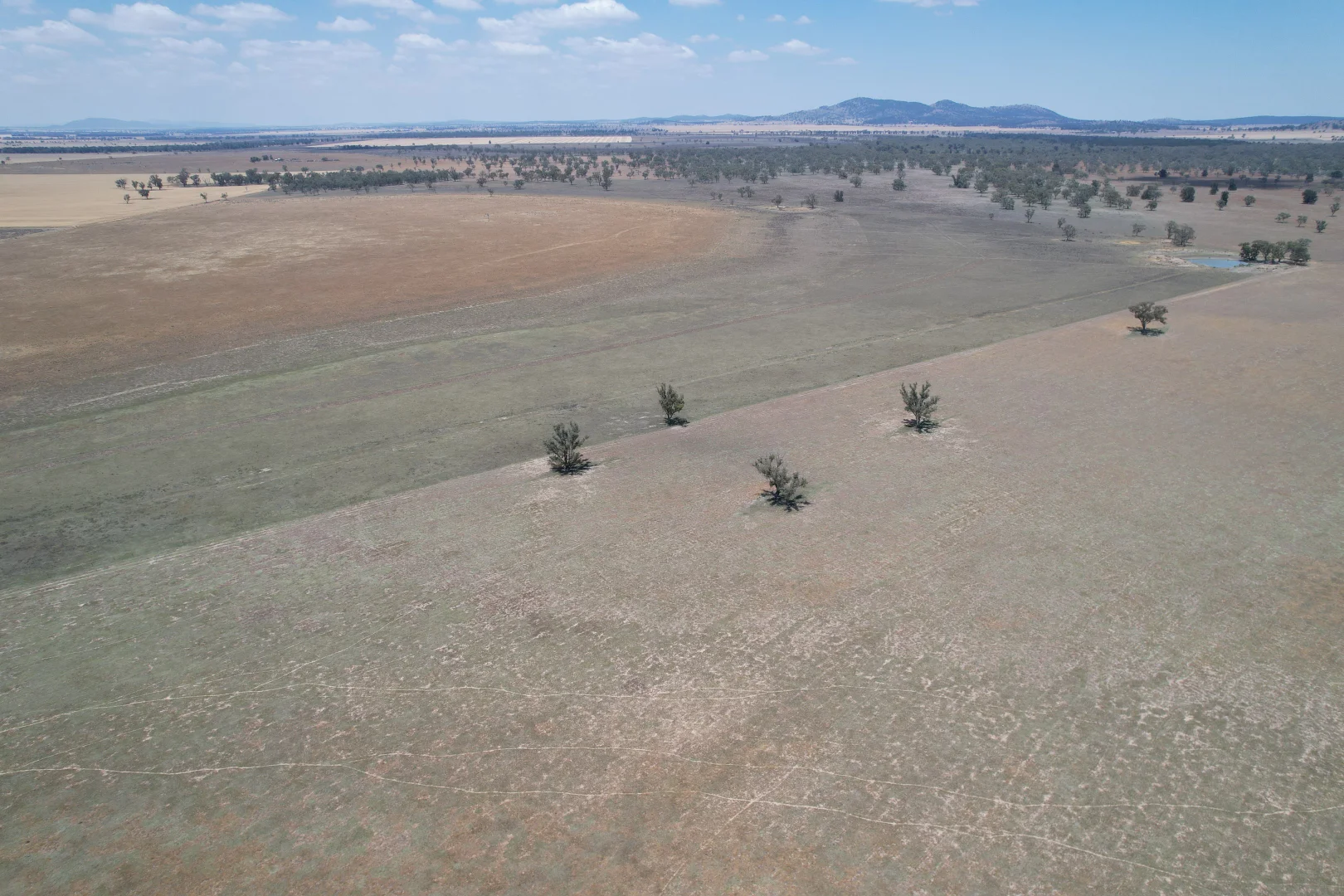 Additional image 8 of 94 Gullifers Road, Forbes NSW 2871