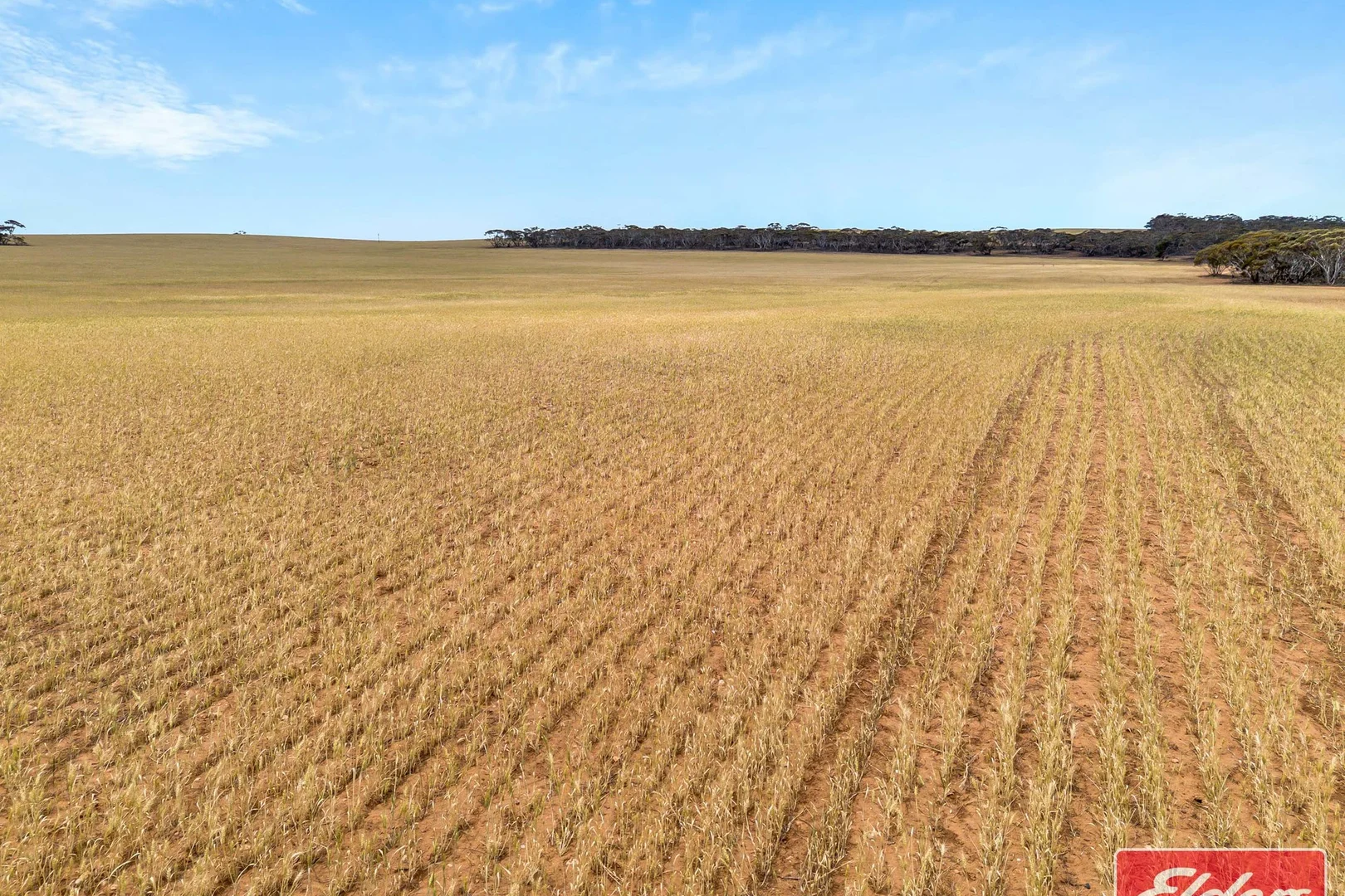 Additional image 20 of 106 Railway Terrace, Sutherlands SA 5374