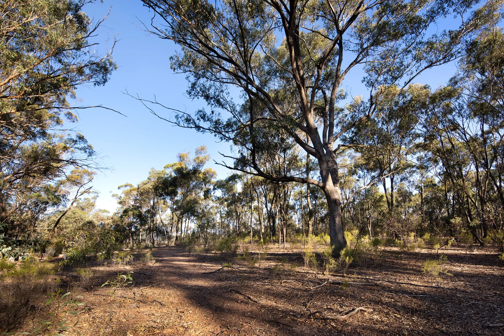 Additional image 21 of 93 Kooyea Lane, Strangways VIC 3461