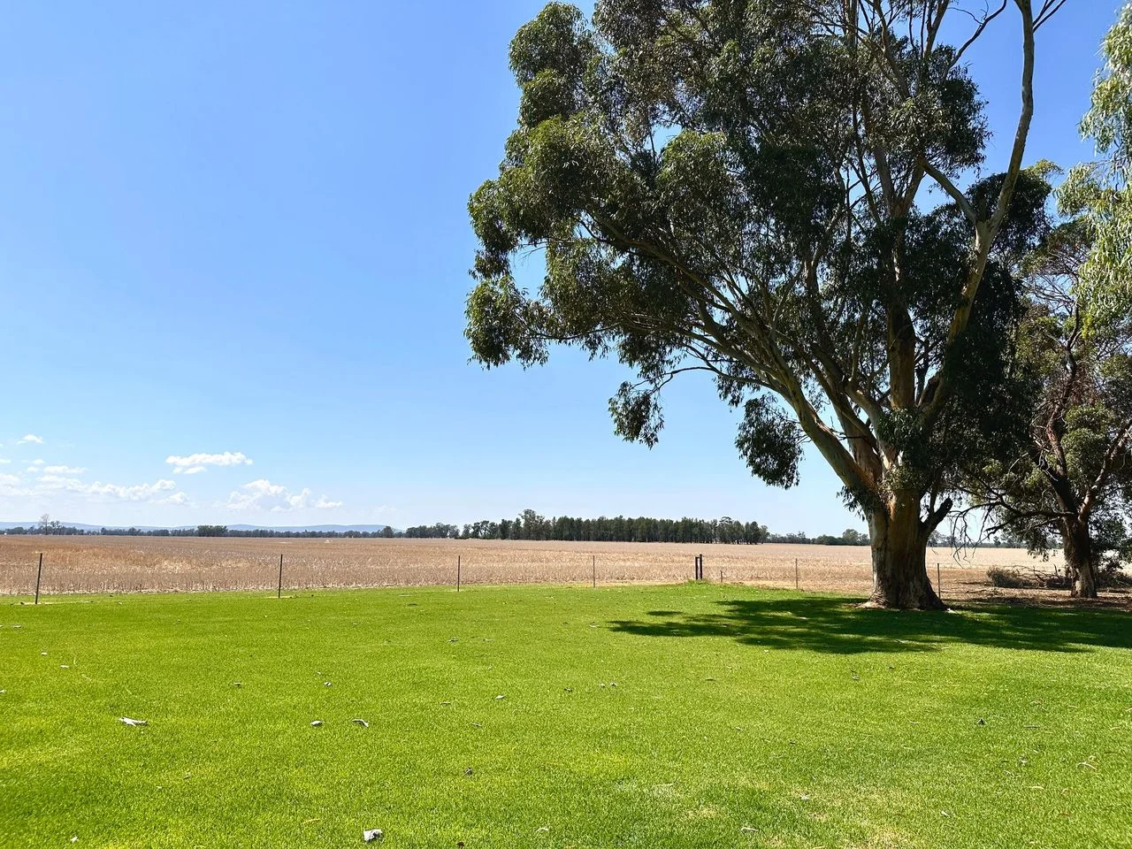 Additional image 31 of 349 A Warregal Road, Parkes NSW 2870
