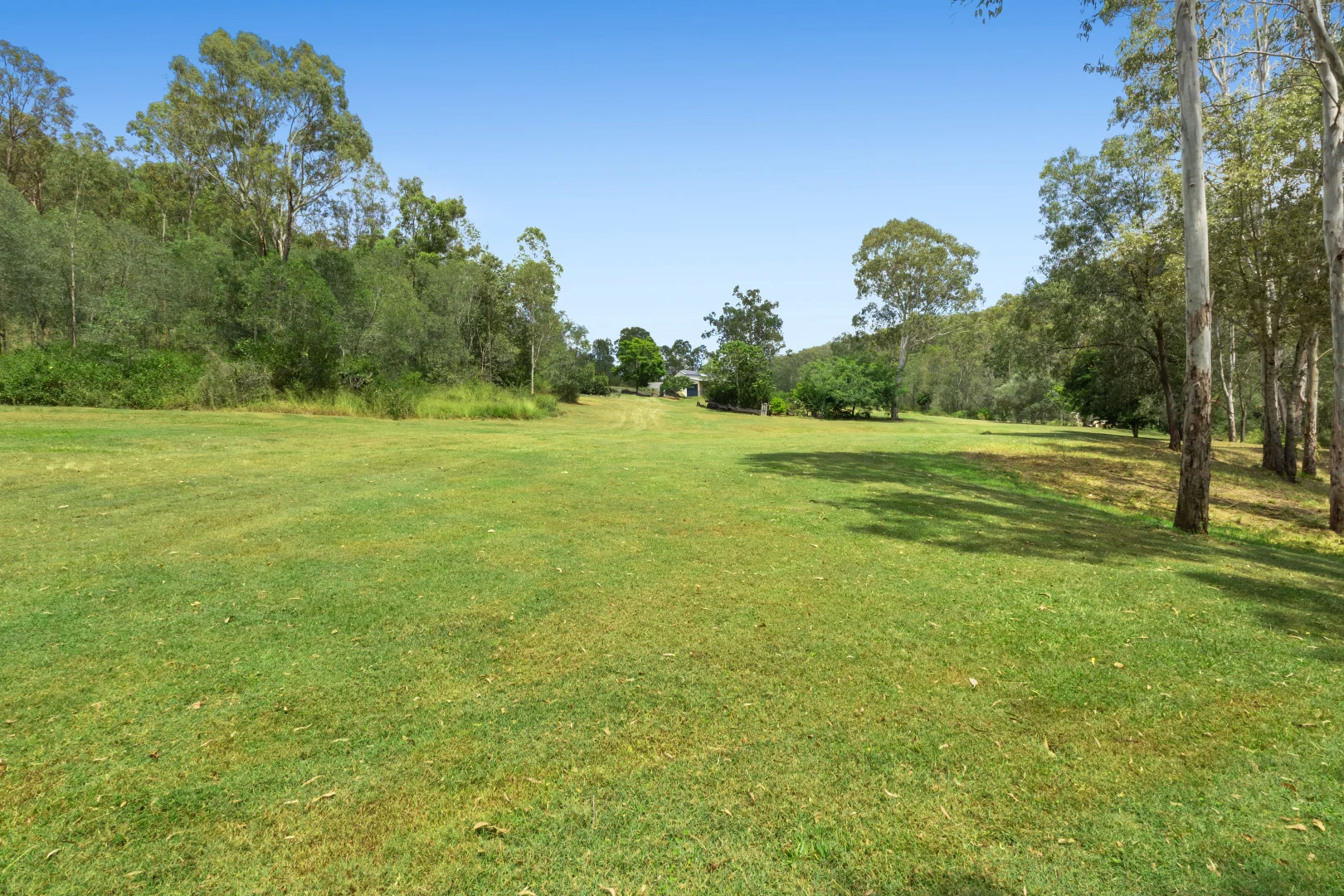 Additional image 6 of 1105 Wild Pig Creek Road, Undullah QLD 4285