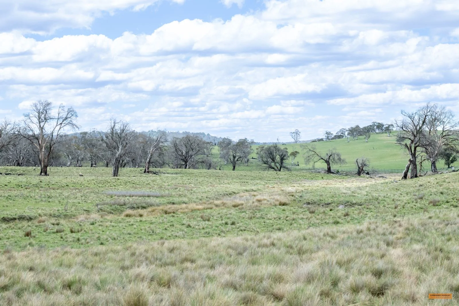 Additional image 22 of Lot 6 Avonside Road, Avonside NSW 2628