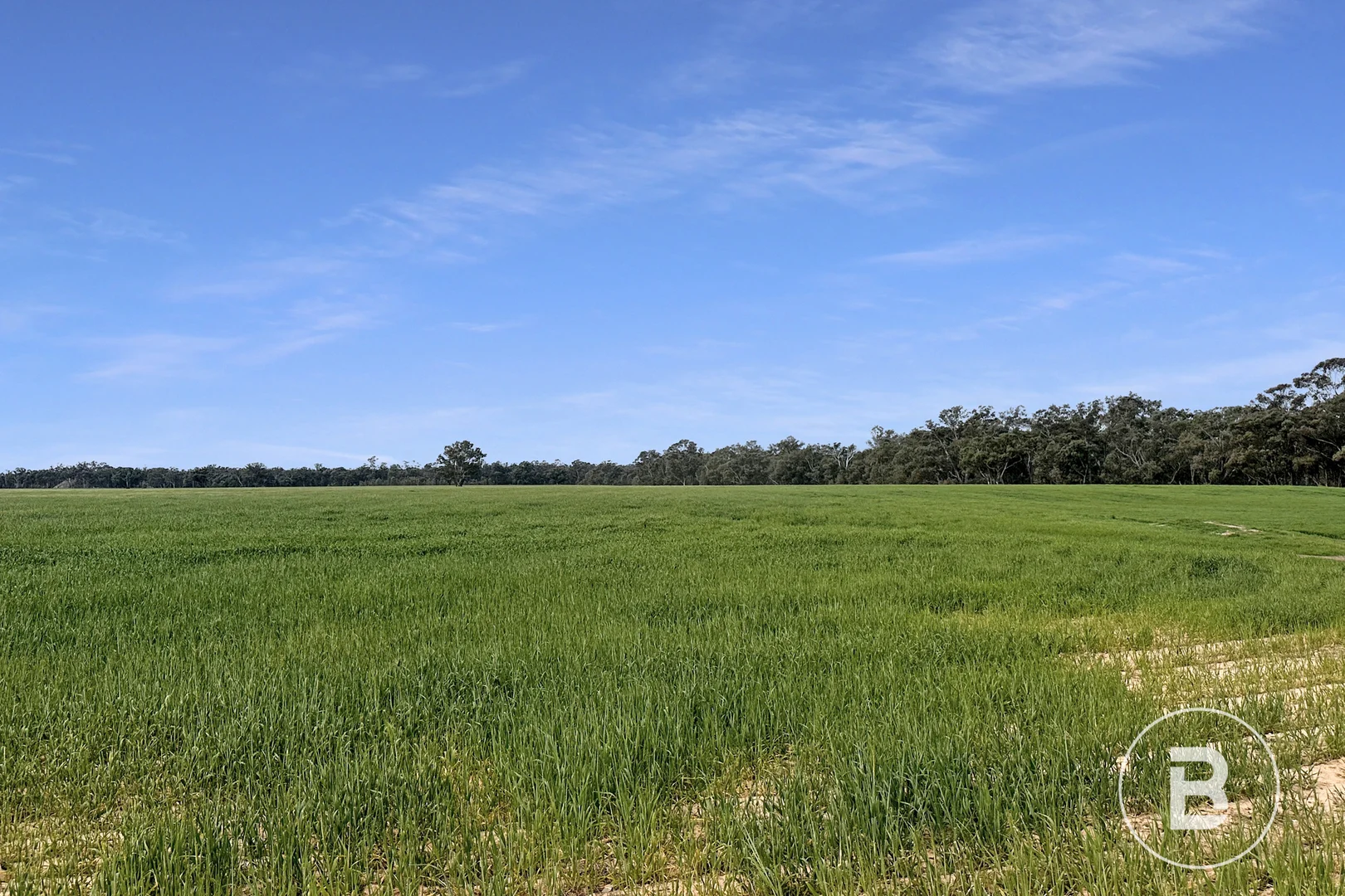 Additional image 4 of 174 Timor Bromley Road, Timor VIC 3465