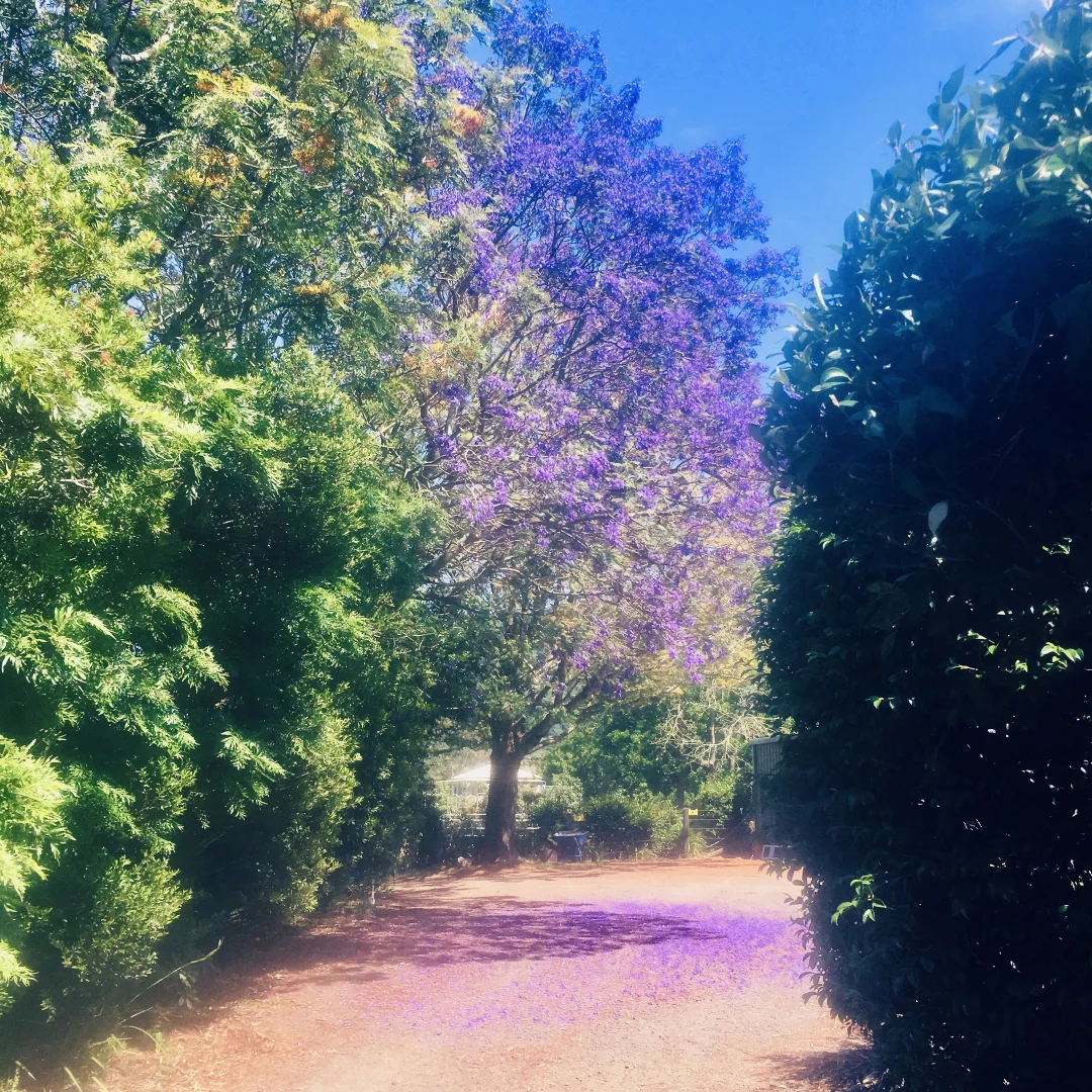 Additional image 34 of 71 Boxsells Lane, Meroo Meadow NSW 2540