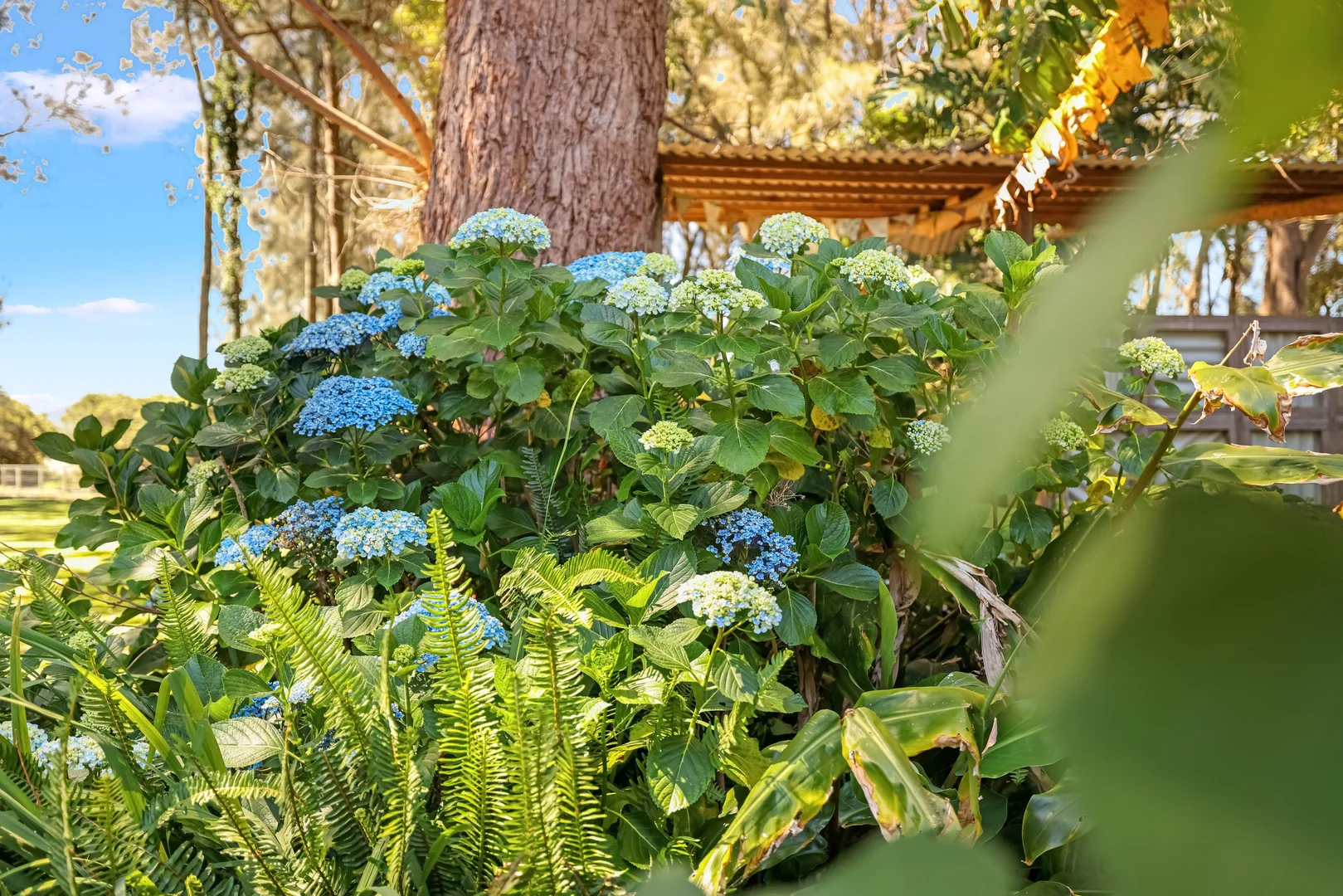 Additional image 35 of 3 Brighton Parade, Culburra Beach NSW 2540