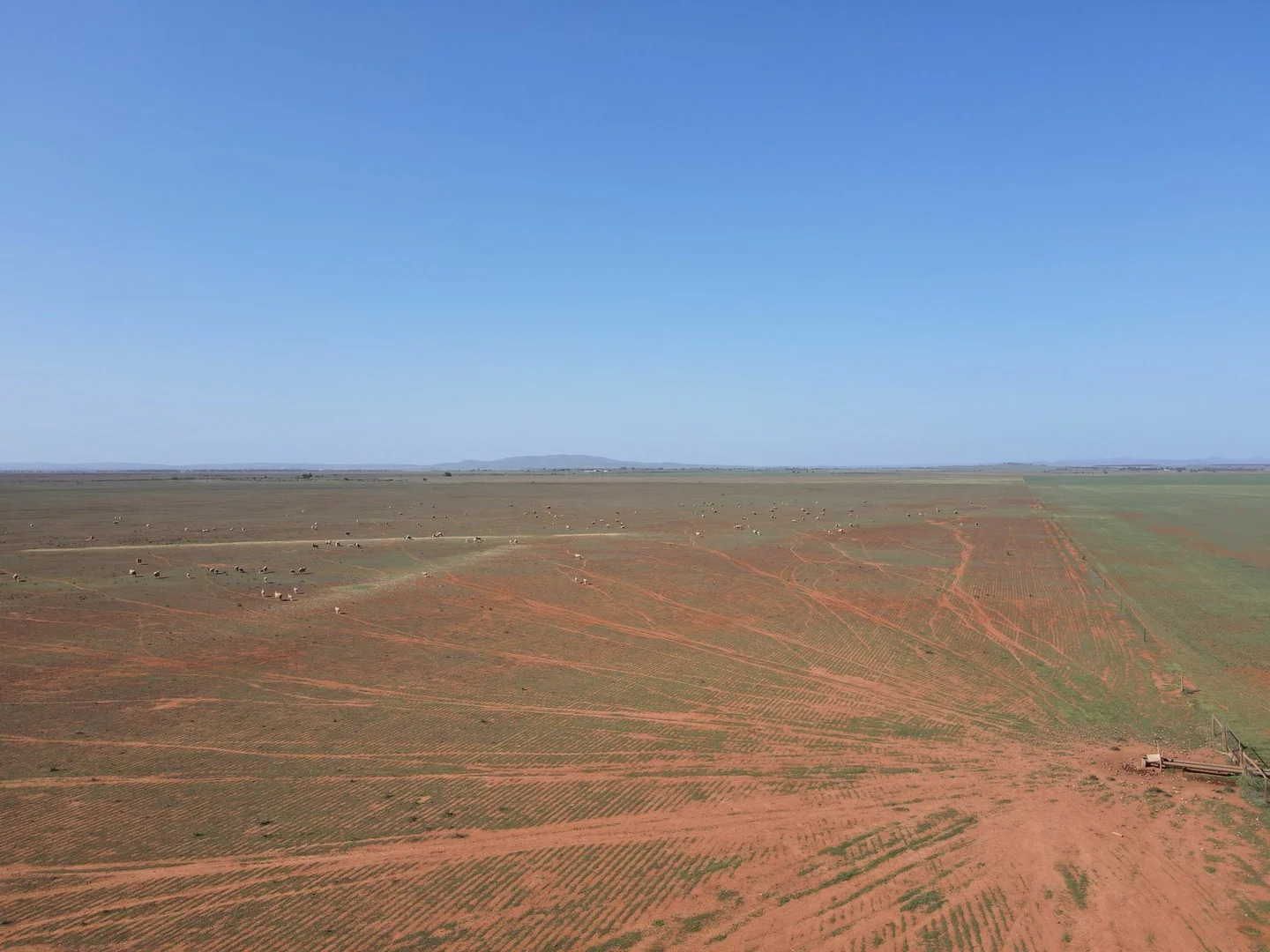 Additional image 11 of 'Daly's' Collins Road, Willowie SA 5431