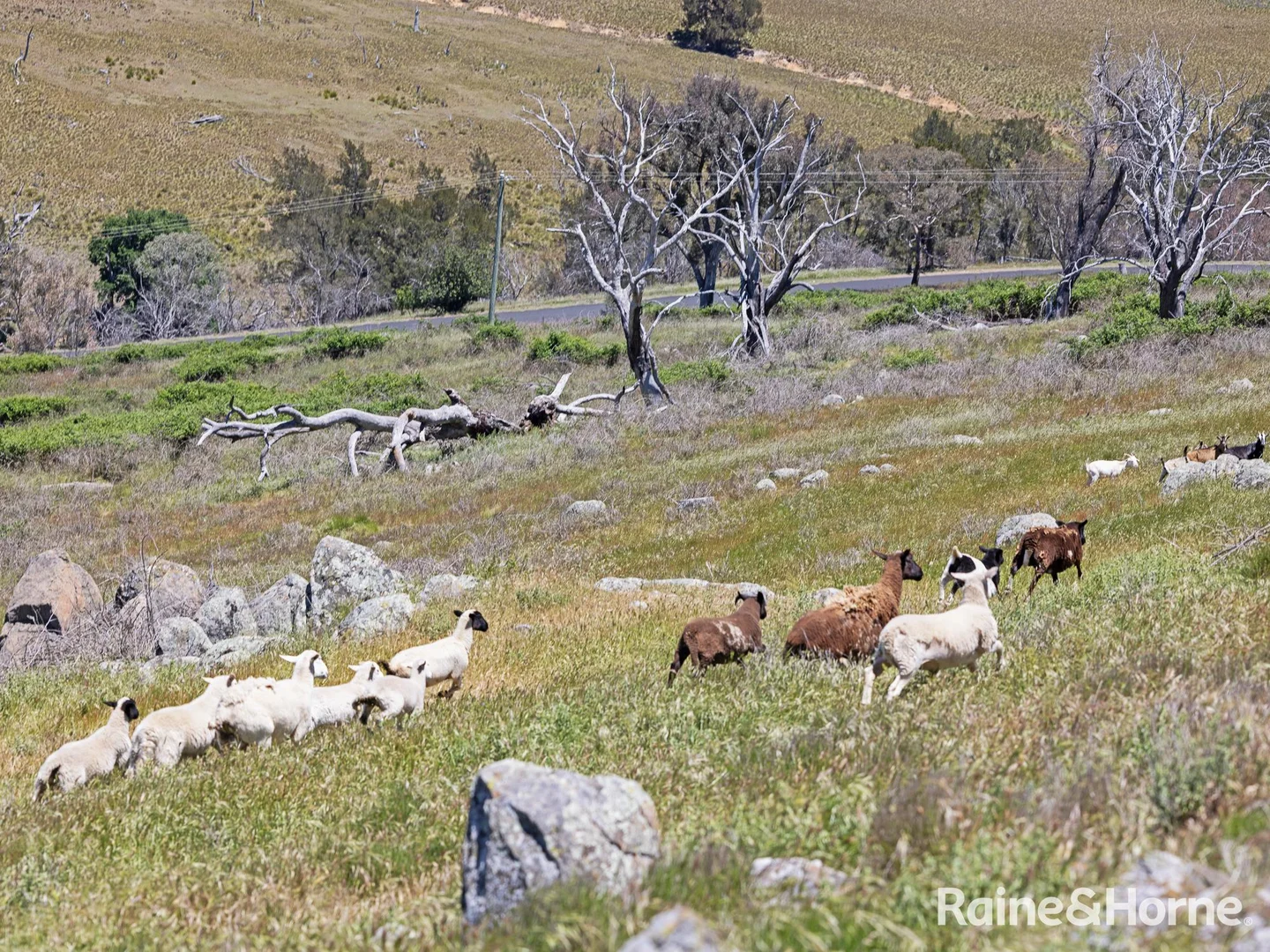 Additional image 8 of 1988 Freemantle Road, Milkers Flat NSW 2795