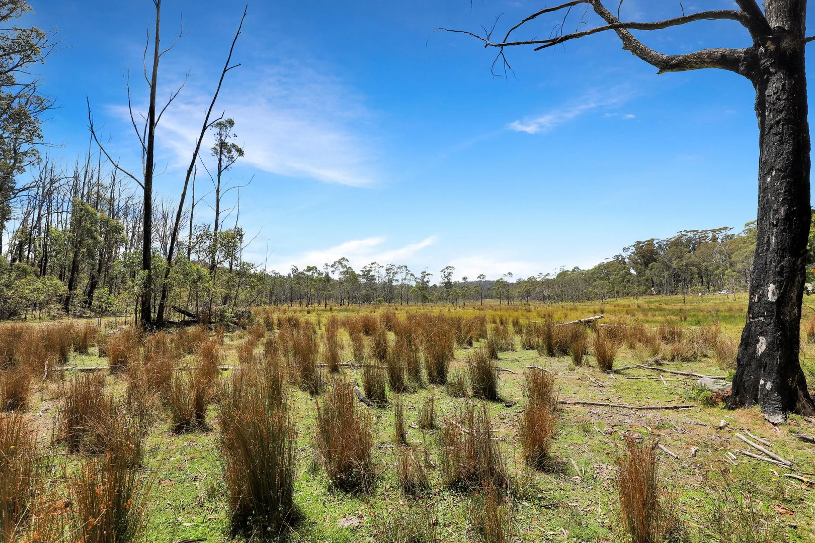 Additional image 4 of Lot 51 Tantawangalo Mountain Road, Cathcart NSW 2632