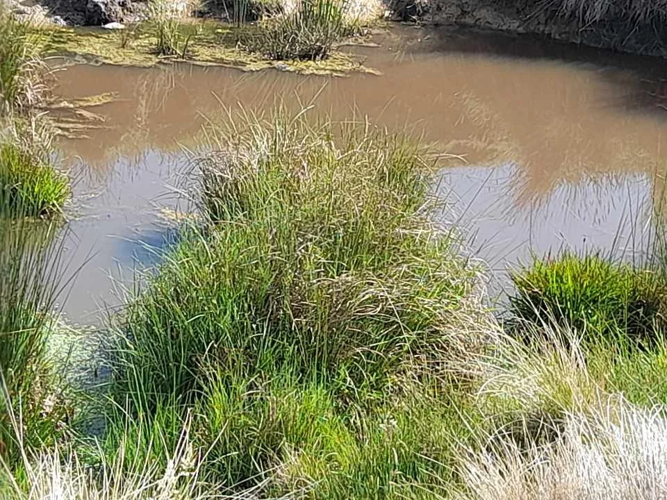 Additional image 21 of 102 Kain Cross Road, Braidwood NSW 2622