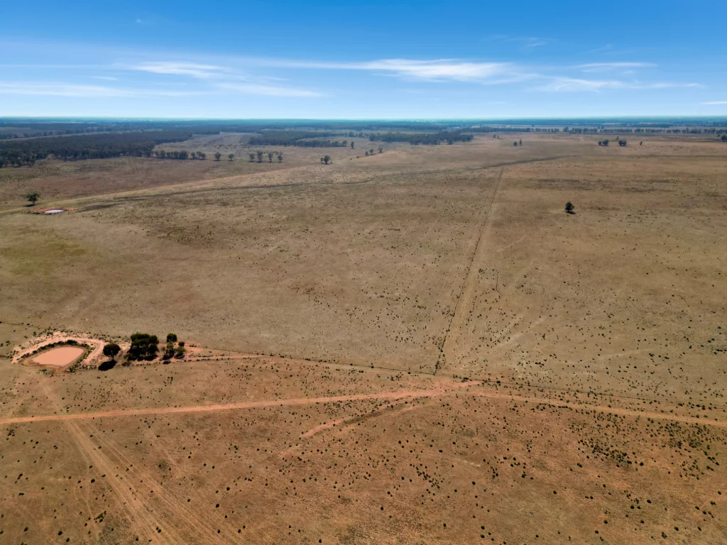 Additional image 12 of 603 Charcoal Tank Road, West Wyalong NSW 2671