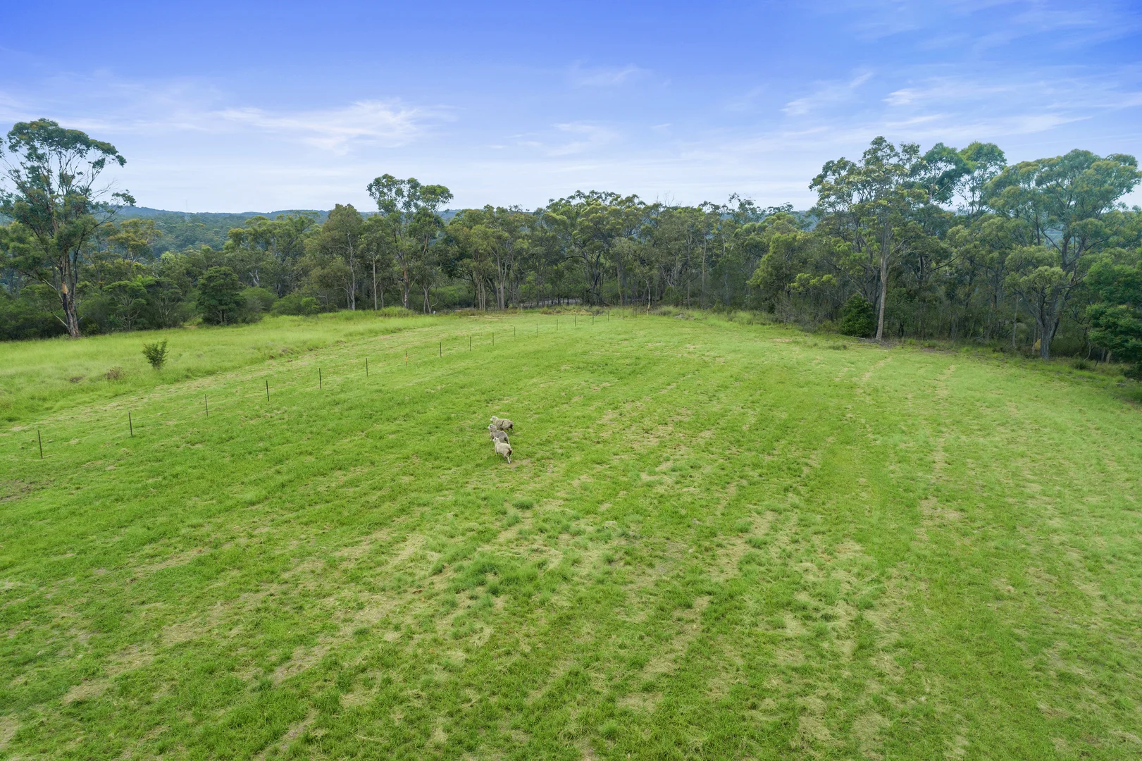 Additional image 8 of 156 Paulls Road, South Maroota NSW 2756