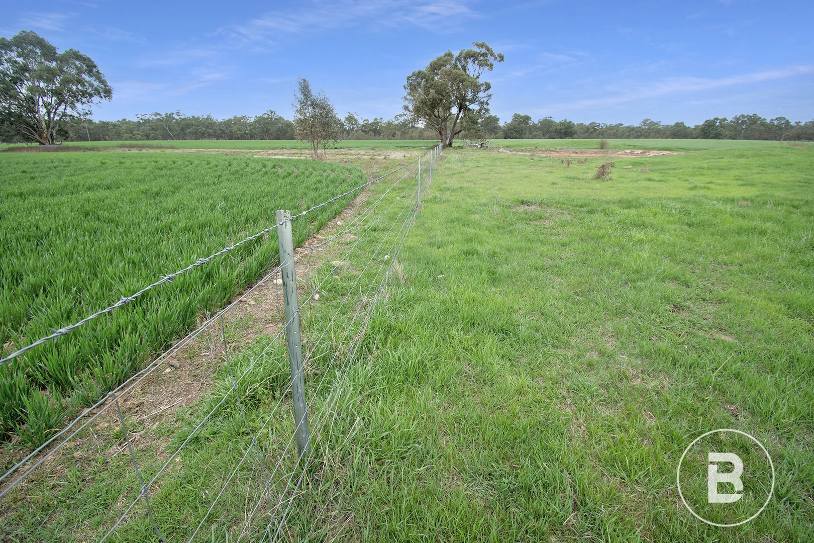 Additional image 6 of 174 Timor Bromley Road, Timor VIC 3465
