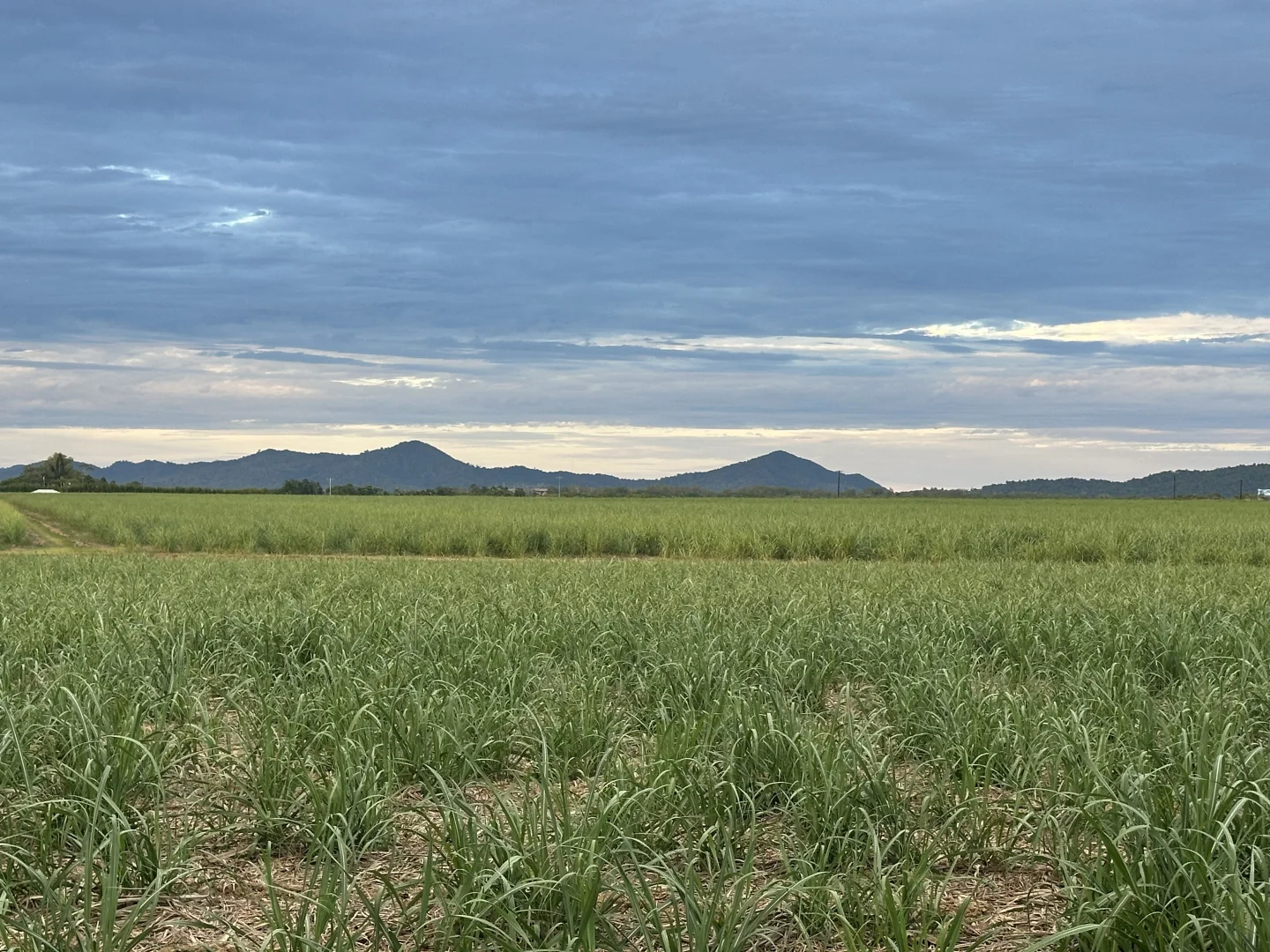 Additional image 29 of 10 Mill street, Mourilyan QLD 4858