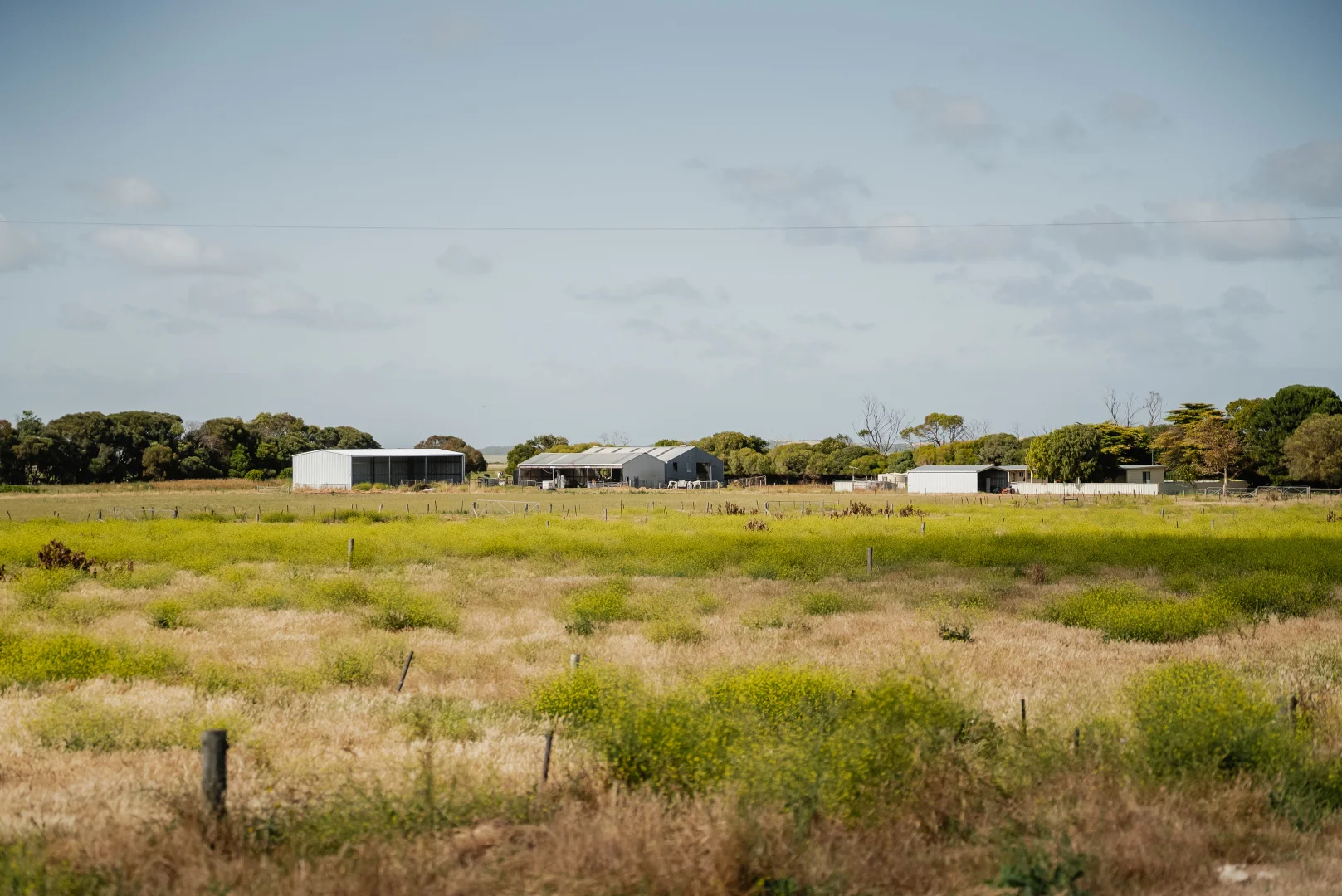 Additional image 9 of 54 Lake Bonney Access Road, Tantanoola SA 5280