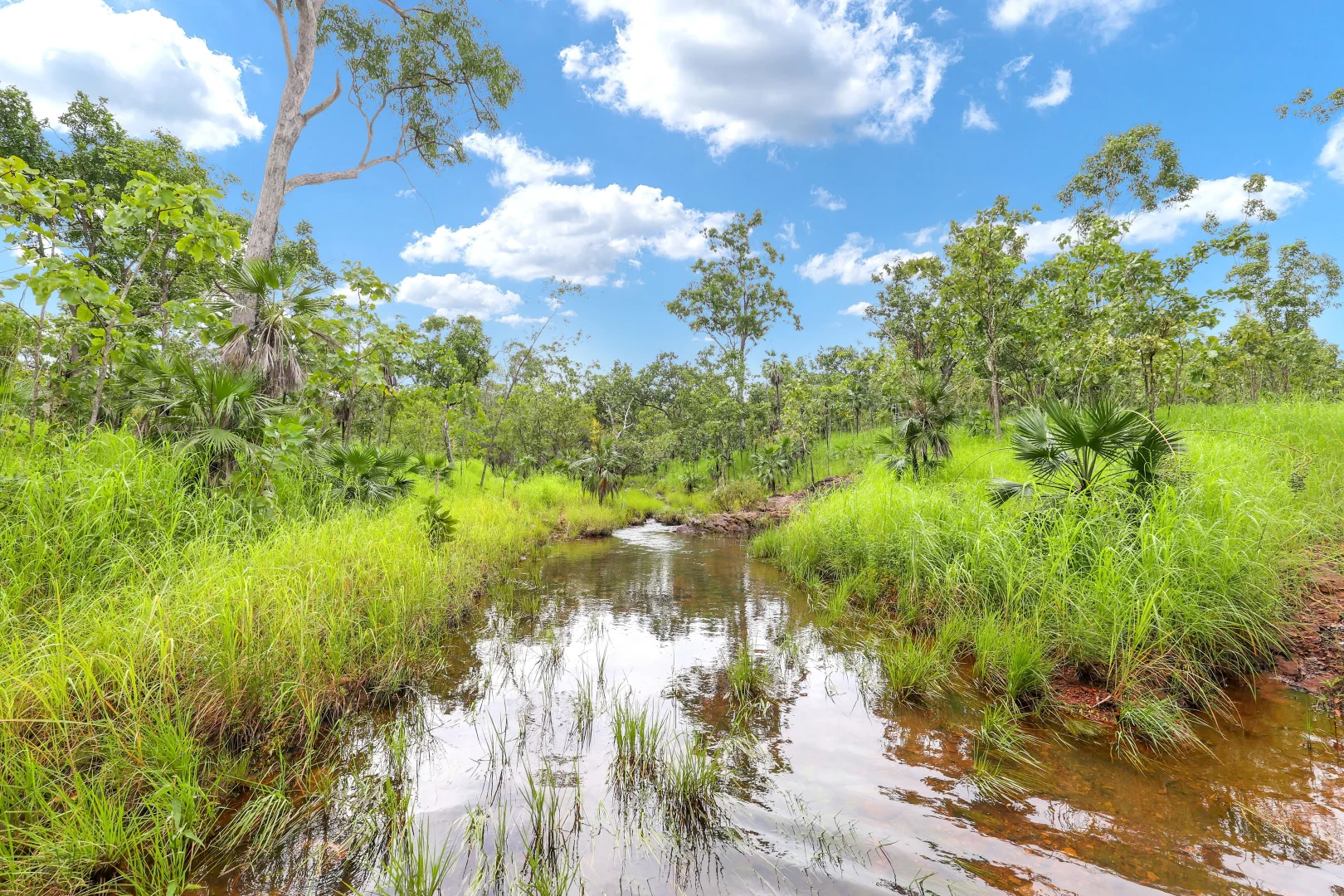 Additional image 13 of 350 Daly River Road, Robin Falls NT 0822