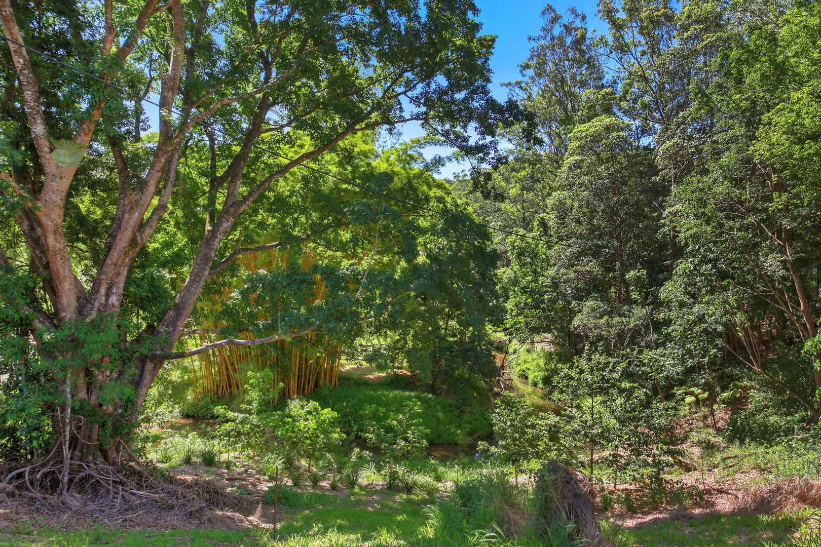 Additional image 27 of 319 Highlands Road, Eudlo QLD 4554