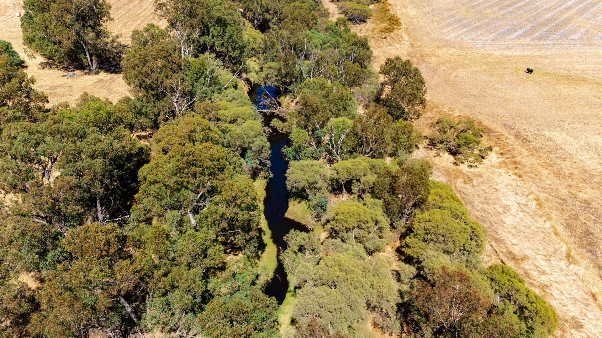 Additional image 24 of 1081 Buller Road, Waroona WA 6215